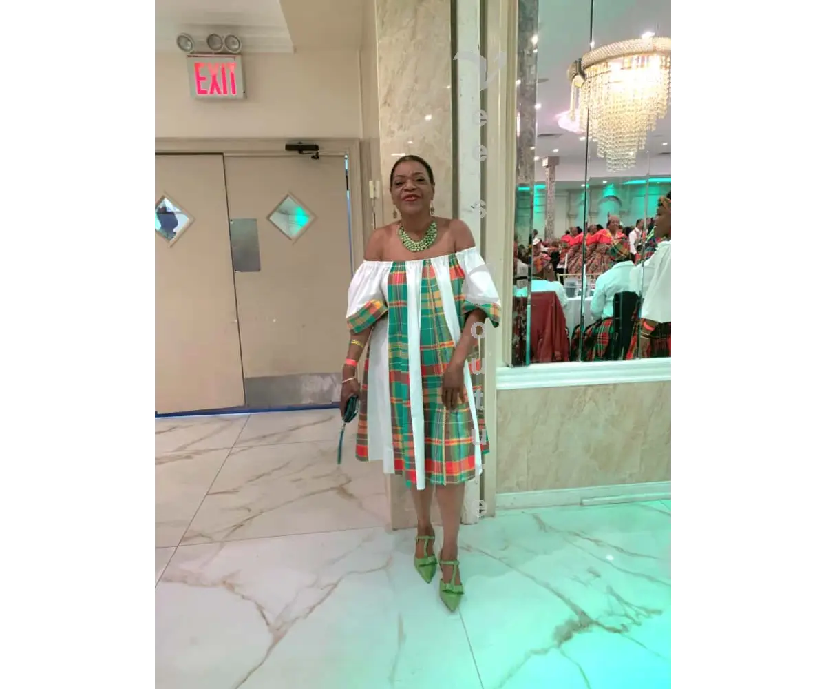 Flared Paneled Midi Dress Dress