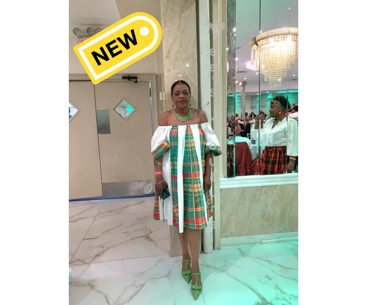 Flared Paneled Midi Dress Dress