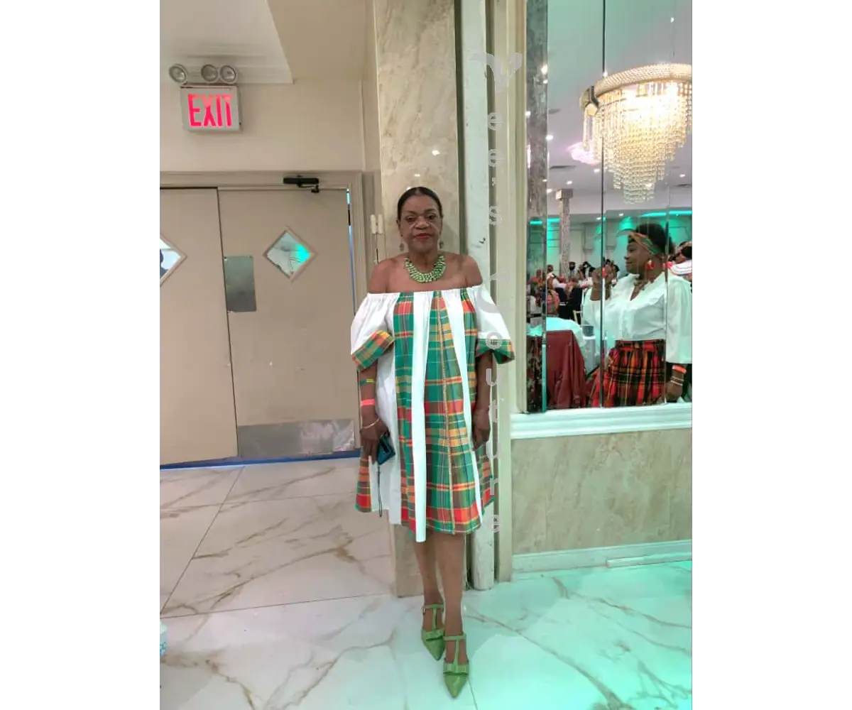 Flared Paneled Midi Dress Dress