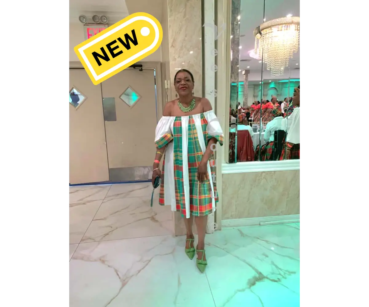 Flared Paneled Midi Dress Dress